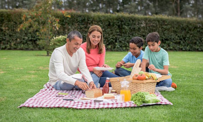 Family Fun Activities for Every Month